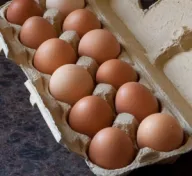 Egg to your choice