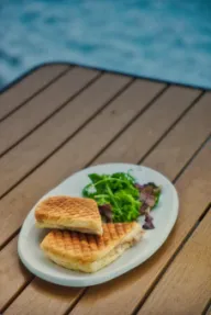 tuna melt panini